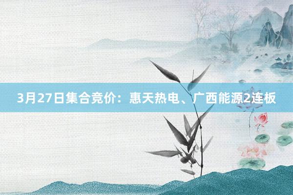 3月27日集合竞价：惠天热电、广西能源2连板
