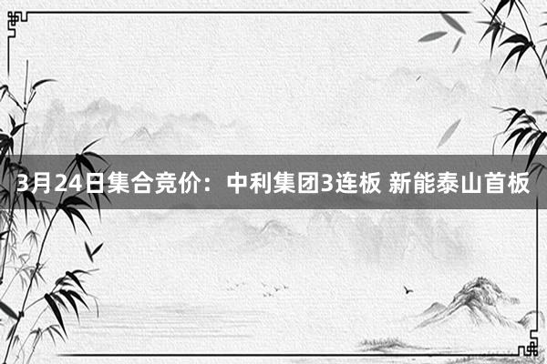 3月24日集合竞价：中利集团3连板 新能泰山首板