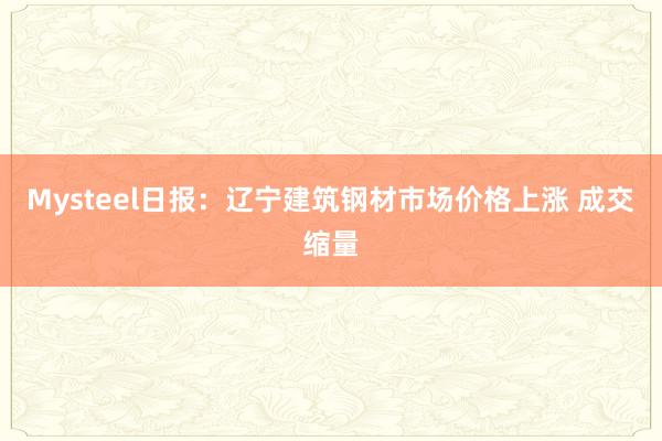 Mysteel日报：辽宁建筑钢材市场价格上涨 成交缩量