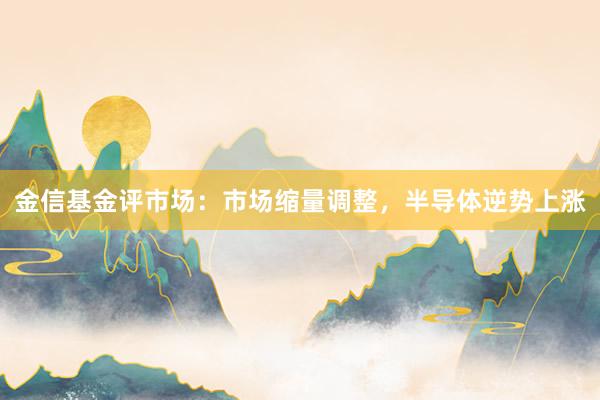 金信基金评市场：市场缩量调整，半导体逆势上涨