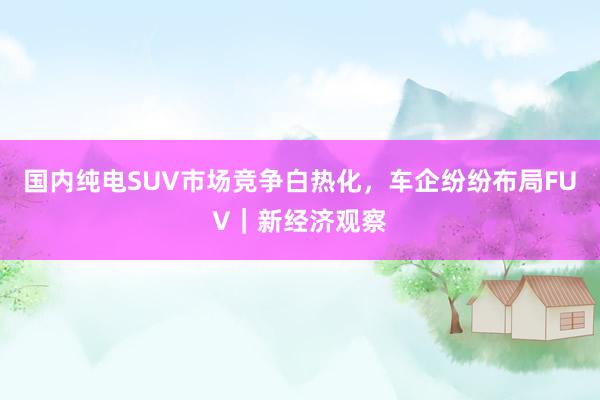 国内纯电SUV市场竞争白热化，车企纷纷布局FUV｜新经济观察