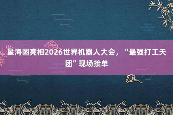 星海图亮相2026世界机器人大会，“最强打工天团”现场接单