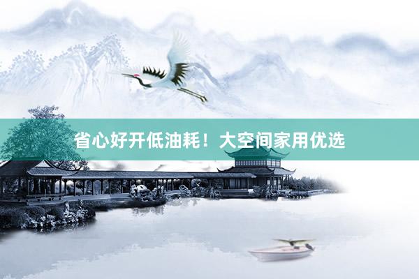 省心好开低油耗！大空间家用优选