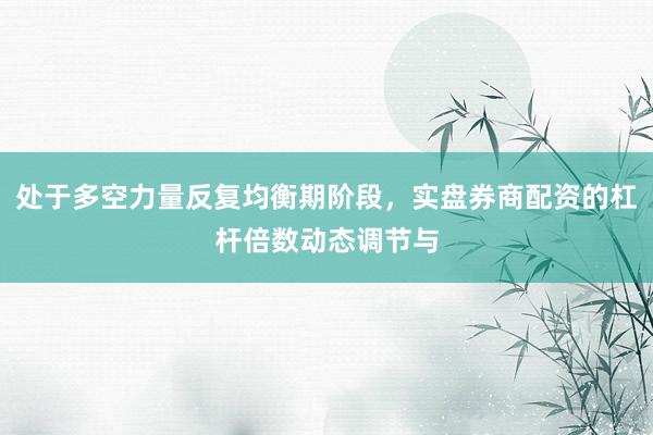 处于多空力量反复均衡期阶段，实盘券商配资的杠杆倍数动态调节与
