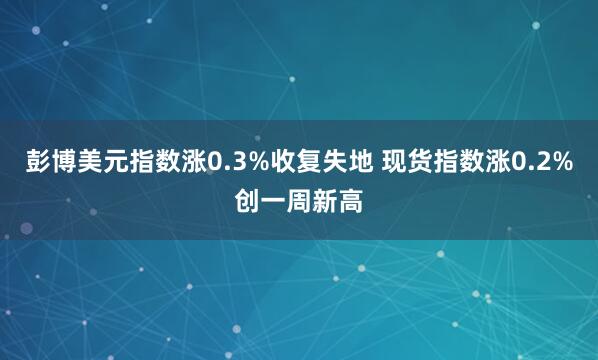 彭博美元指数涨0.3%收复失地 现货指数涨0.2%创一周新高