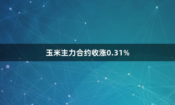 玉米主力合约收涨0.31%