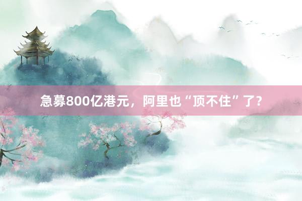 急募800亿港元，阿里也“顶不住”了？