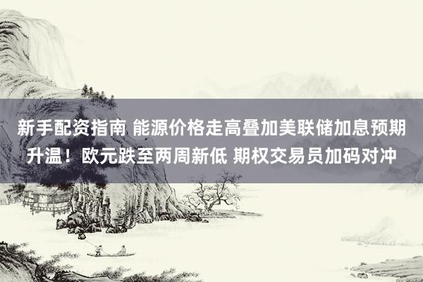 新手配资指南 能源价格走高叠加美联储加息预期升温！欧元跌至两周新低 期权交易员加码对冲