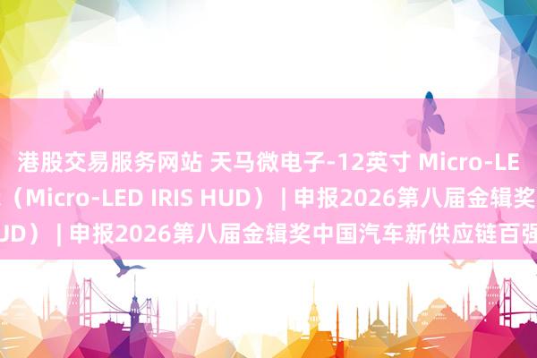 港股交易服务网站 天马微电子-12英寸 Micro-LED 高亮反射式抬头显示（Micro-LED IRIS HUD） | 申报2026第八届金辑奖中国汽车新供应链百强