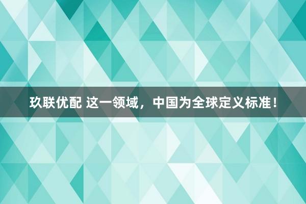 玖联优配 这一领域，中国为全球定义标准！