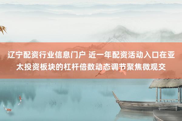 辽宁配资行业信息门户 近一年配资活动入口在亚太投资板块的杠杆倍数动态调节聚焦微观交